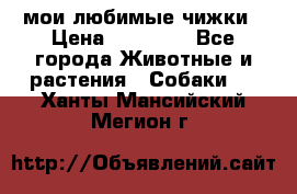 мои любимые чижки › Цена ­ 15 000 - Все города Животные и растения » Собаки   . Ханты-Мансийский,Мегион г.